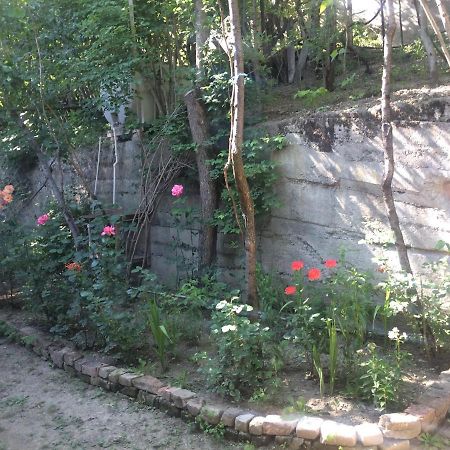 Guesthouse Malkhazi Borjomi Exterior foto
