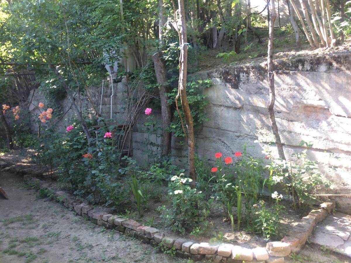 Guesthouse Malkhazi Borjomi Exterior foto